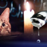 Коли у Києві відключатимуть світло 4 листопада: оприлюднено графіки