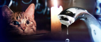 Коли у Києві відключатимуть світло 4 листопада: оприлюднено графіки