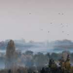 Київ та область накриє густий туман: видимість 200–500 метрів