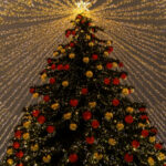 У Києві почали встановлювати головну ялинку країни