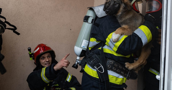 
 Вибух і масштабна пожежа в Києві: рятувальники назвали причину (фото)
 