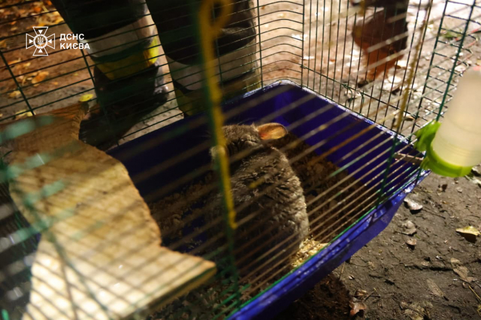 РФ завдала комбінованого удару по Києву: 6 загиблих, серед поранених - дитина фото 1