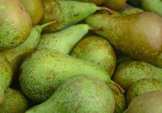 Где на этой неделе в Киеве пройдут ярмарки. Адреса