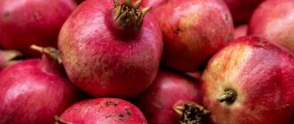 Продуктовые ярмарки в Киеве 8 - 9 ноября: адреса