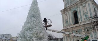 Новорічну ялинку на Софійській площі у Києві почнуть встановлювати наступного тижня: якою вона буде