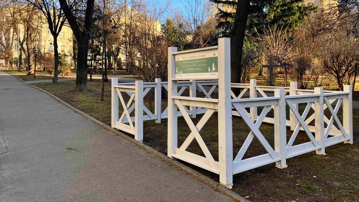 Синоптики розповіли, яка буде погода в останні дні 2025 року у Києві та області