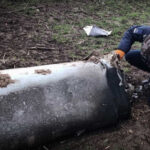 На Київщині виявили уламки російської ракети з бойовою частиною (фото)