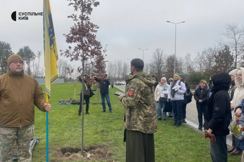 У пам'ять про загиблих бійців: алею дубів посадили на Національному військовому кладовищі
