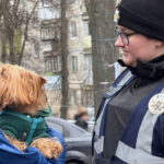 Ворожа атака у Святошинському районі Києва: поліцейські продовжують документувати наслідки (фото)