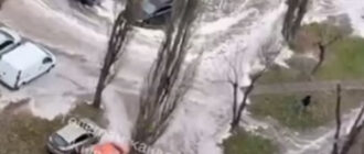 У Києві чергове підтоплення на лівому березі (відео)