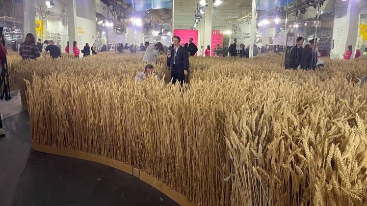 Виставка Ukraine WOW відкриває для глядачів зимовий сезон: які нові експонати можна побачити