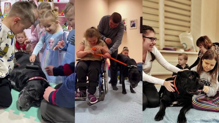 Собака Банана допомагає в реабілітації військових у Києві