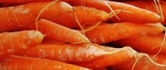 Продуктовые ярмарки в Киеве 13 - 14 декабря: адреса