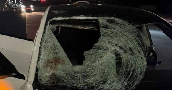 У Києві п’яний водій на Tesla Model 3 збив на смерть 13-річну дівчинку на пішохідному переході: фото
У Києві п’яний водій на Tesla Model 3 збив на смерть 13-річну дівчинку на пішохідному переході: фото