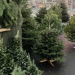 У столиці запрацювали ялинкові ярмарки