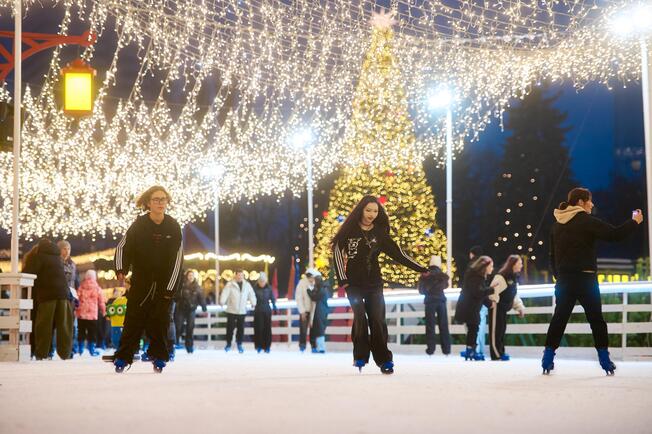 Самый большой каток и Резиденция Санты, масштабные световые инсталляции и фотозоны: где искать чудеса на "Зимней стране" на ВДНГ фото 2 1