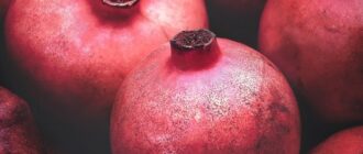 Продуктовые ярмарки в Киеве 30 - 31 декабря: адреса