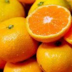 Продуктовые ярмарки в Киеве 20 – 21 декабря: адреса