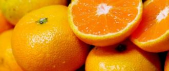 Продуктовые ярмарки в Киеве 20 – 21 декабря: адреса