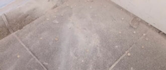 В Києві у школі учень кинув страйкбольну гранату, яка здетонувала