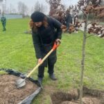 У пам'ять про загиблих бійців: алею дубів посадили на Національному військовому кладовищі