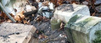 Має зону ураження до 25 метрів: на території Бучанської міськради знайшли російську протипіхотну міну