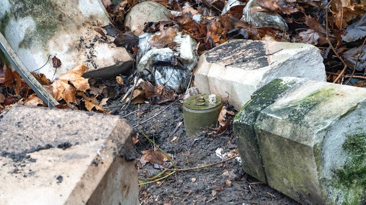 Має зону ураження до 25 метрів: на території Бучанської міськради знайшли російську протипіхотну міну