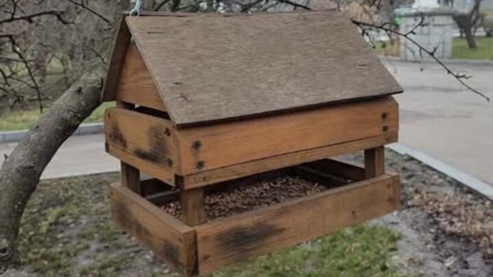 Синоптики розповіли, яка буде погода в останні дні 2025 року у Києві та області