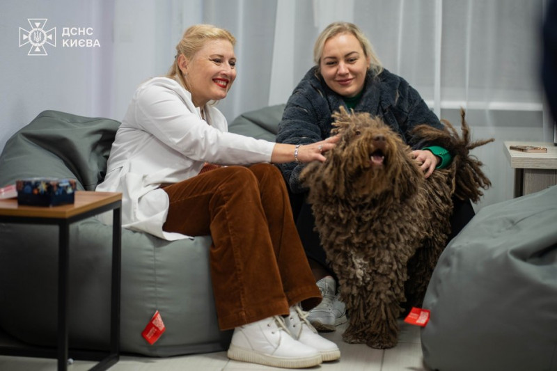 Собака Банана допомагає в реабілітації військових у Києві
