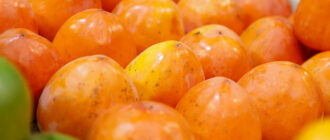 Продуктовые ярмарки в Киеве 23 - 26 декабря: адреса