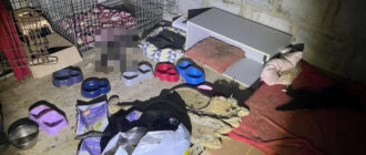 У "волонтерки" з Київської області виявили понад 50 тіл закатованих чотирилапих