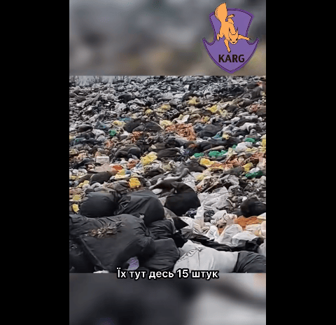 
 Повністю забруднені й приречені: волонтери врятували лелек зі смітника на Київщині (фото)
 