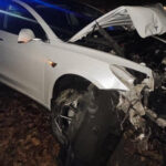 Під Києвом 19-річний хлопець викрав Tesla Model 3 у роботодавця та влетів у дерево: з’явилися фото