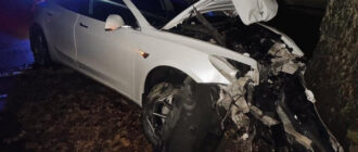 Під Києвом 19-річний хлопець викрав Tesla Model 3 у роботодавця та влетів у дерево: з’явилися фото