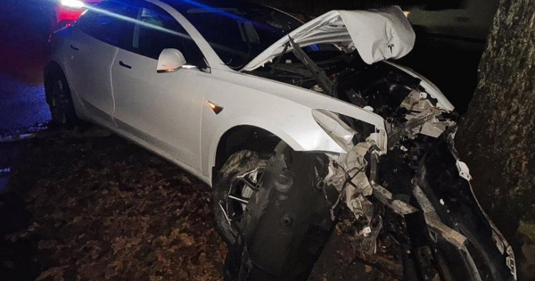 Під Києвом 19-річний хлопець викрав Tesla Model 3 у роботодавця та влетів у дерево: з’явилися фото
Під Києвом 19-річний хлопець викрав Tesla Model 3 у роботодавця та влетів у дерево: з’явилися фото