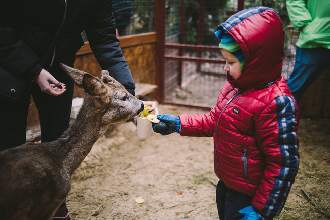 Самый большой каток и Резиденция Санты, масштабные световые инсталляции и фотозоны: где искать чудеса на "Зимней стране" на ВДНГ фото 10 9
