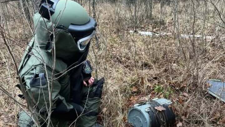 Має зону ураження до 25 метрів: на території Бучанської міськради знайшли російську протипіхотну міну