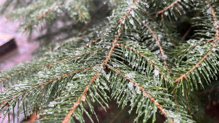 Можливе налипання мокрого снігу, ожеледиця і туман: водіїв і пішоходів Києва та області закликають бути обачними