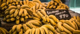 Продуктовые ярмарки в Киеве 6 - 7 декабря: адреса