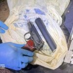 У лісопарку біля Львова знайшли пістолет, з якого вбили Андрія Парубія