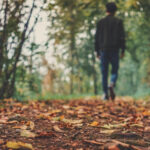 Листопад у Києві став одним з найтепліших за весь час спостережень