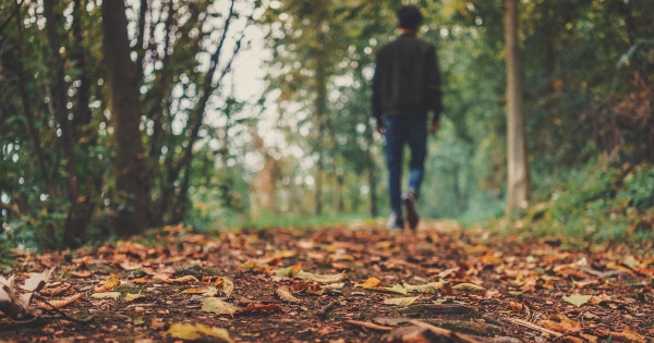 Листопад у Києві став одним з найтепліших за весь час спостережень
Листопад у Києві став одним з найтепліших за весь час спостережень