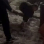 В Ірпені сталася бійка за участю підлітків на Алеї пам’яті: що відомо