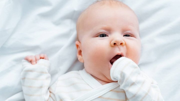 Немовля за €70 тисяч: з Німеччини екстрадували підозрювану в торгівлі дітьми під виглядом сурогатного материнства