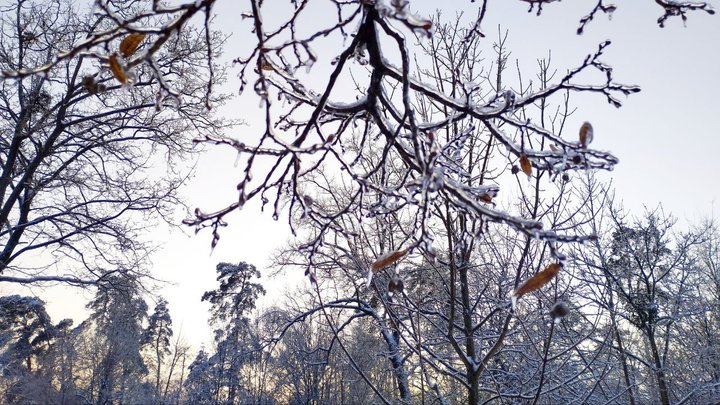 Нерозчищені дороги та тротуари у Києві: Кличко прокоментував ситуацію