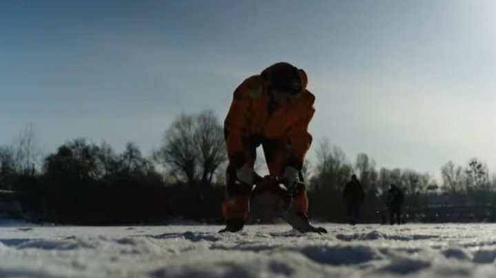 Депутатка Київради розповіла, на якому етапі пропозиція захисників пускати тварин у магазини столиці