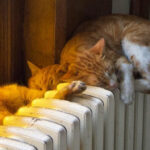 У Києві без тепла залишаються майже дві тисячі будинків: де найскладніша ситуація