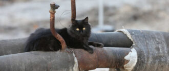 У Києві масові прориви труб у будинках: вода затоплює під’їзди (відео)