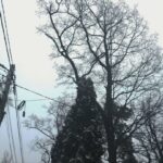 Діятимуть графіки: у ДТЕК розповіли, коли у киян та жителів області не буде світла