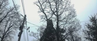 Діятимуть графіки: у ДТЕК розповіли, коли у киян та жителів області не буде світла